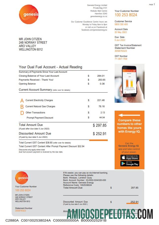 Em branco modelo de conta de serviços públicos de gás Genesis da Nova Zelândia em formato Word e PDF, 3 páginas 3